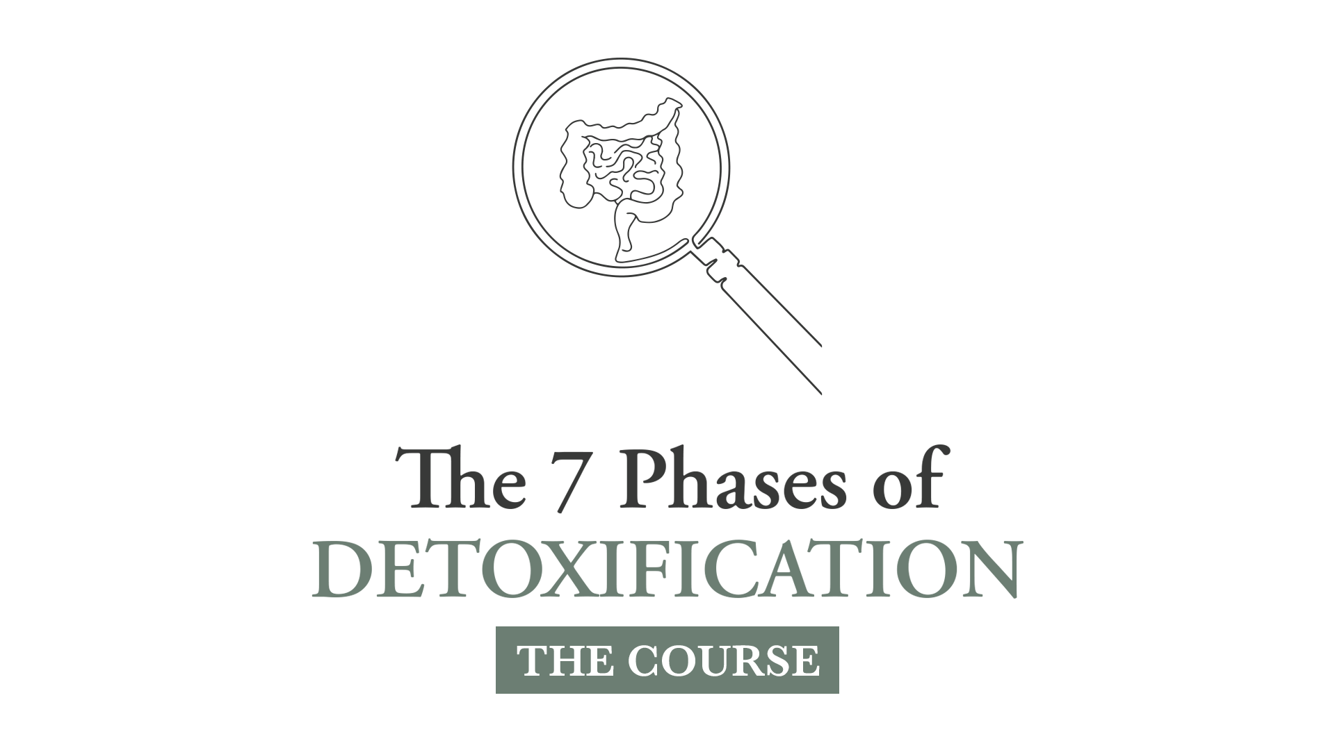 Detox-Course