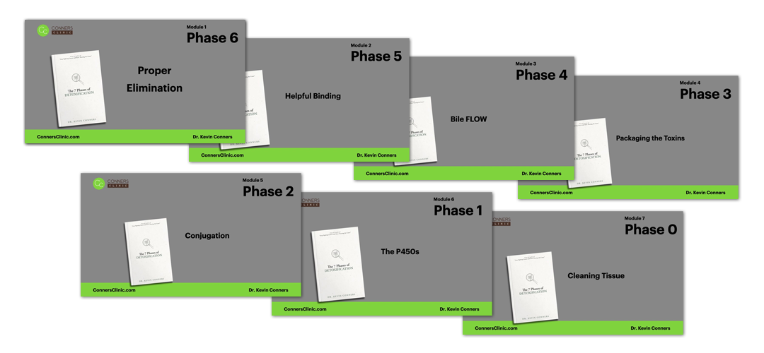 the-7-phases-of-detoxification-course-promo-image-modules
