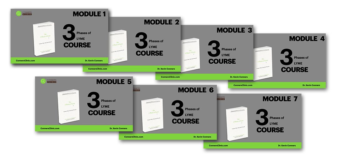 the-3-phases-of-lyme-course-promo-image-modules